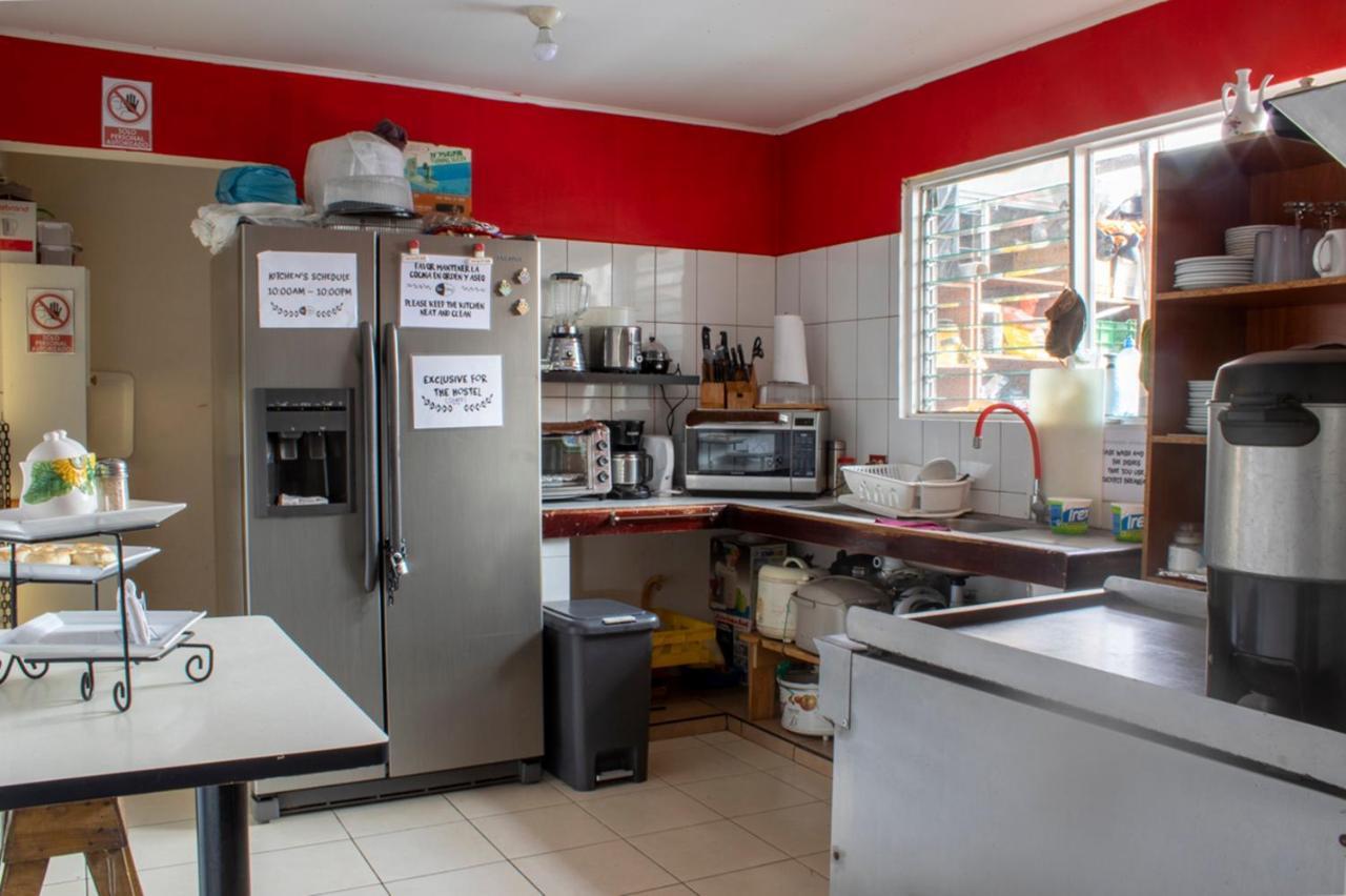 Eco Stay Hostel Сан Хосе Екстериор снимка